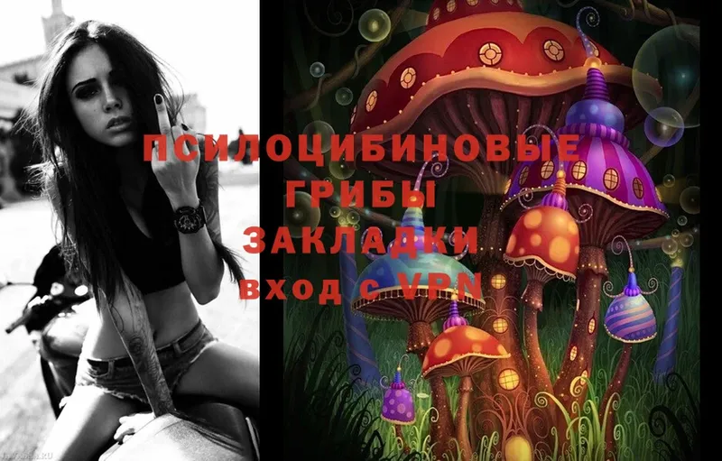 Псилоцибиновые грибы MAGIC MUSHROOMS  Ковров 