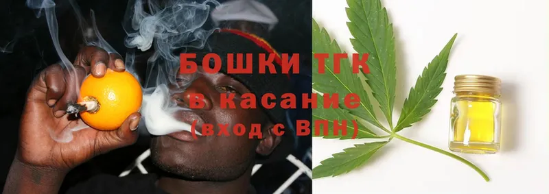 Конопля OG Kush  Ковров 